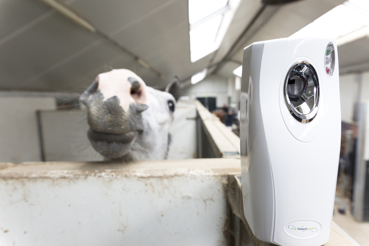vliegenspray paard